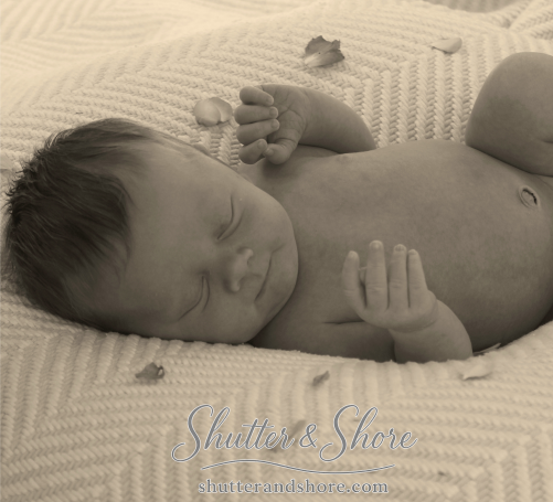 maternity photos newborn portraits photography twin cities wayzata edina mn golden hour natural light engagement senior family photos