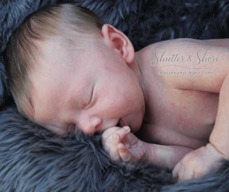Newborn Photos Family Photography Packages Golden Hour Twin Cities Minnesota MN Engagement